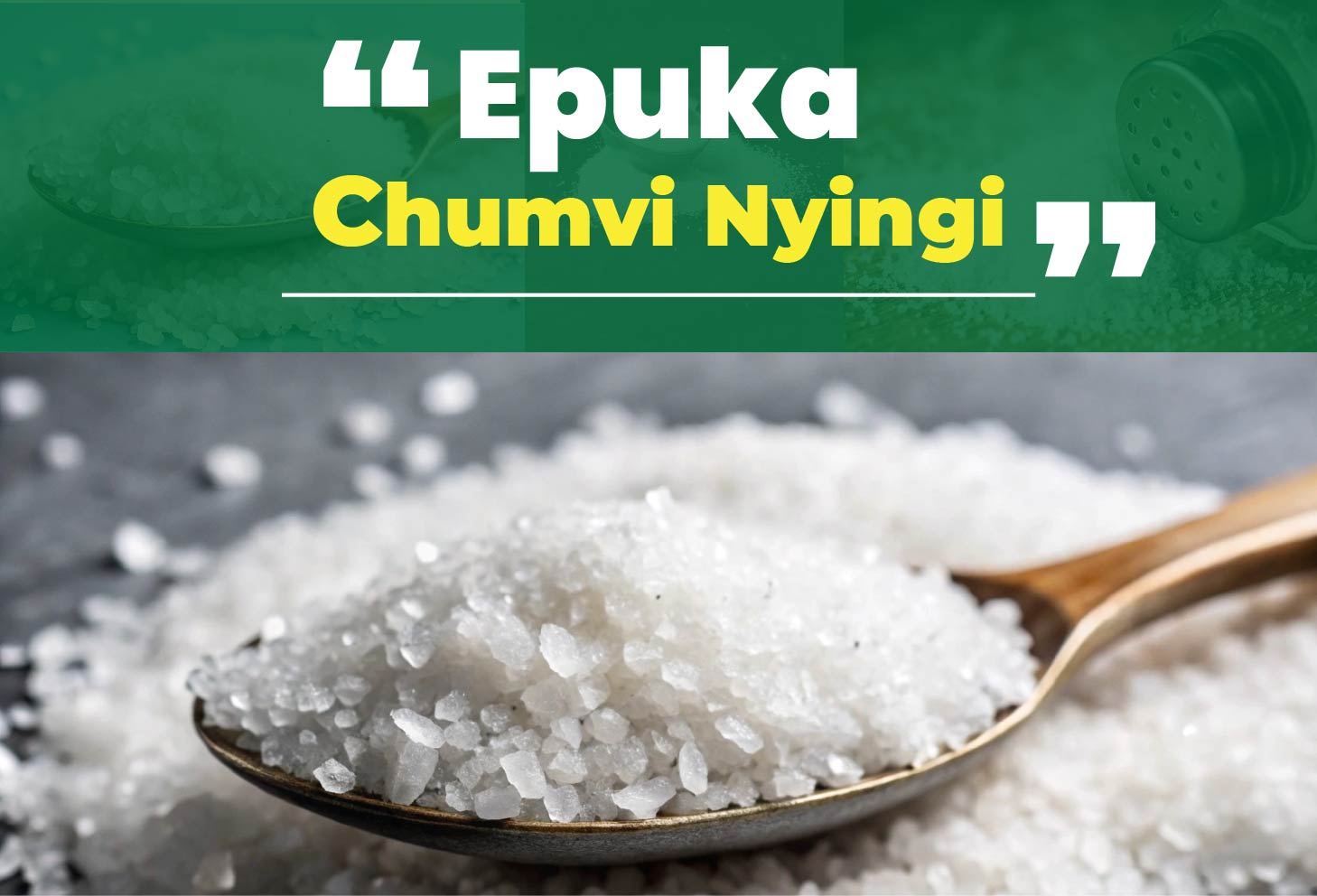 SALT-01 BANNER NDOGO